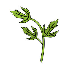 leaves with stem icon image vector illustration design