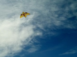 Kite in the sky