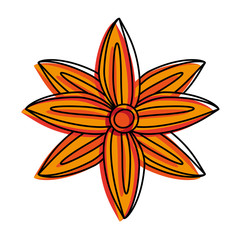 anise star seed icon image vector illustration design 