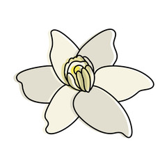 vanilla flower icon image vector illustration design 
