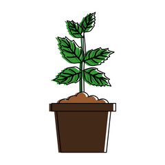 plant in pot icon image vector illustration design 