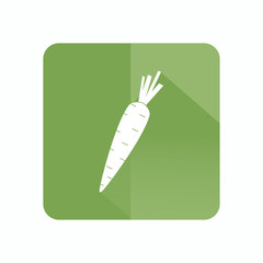 Carrot icon.