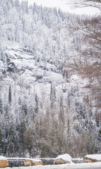 Winter landscape in Bavaria, Arbersee