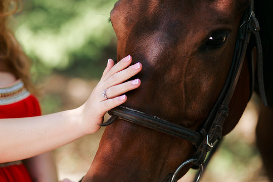 Summer day on the farm. Young woman caress horse.