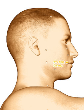 Drawing Acupuncture Point ST4 Dicang, 3D Illustration