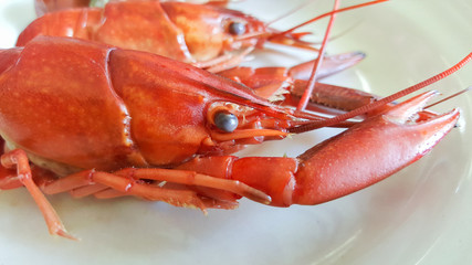 crayfish boiled on plate