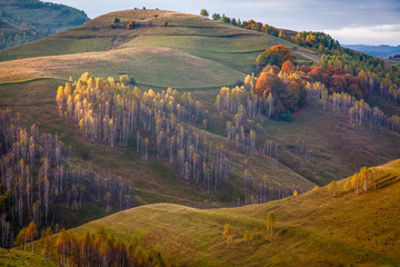 Fototapeta na wymiar autumn landscape in Apuseni mountains, Transylvania, Romania
