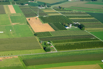 Obraz premium Orchards From Above