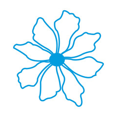 Beautiful decorative flower icon vector illustration graphic design