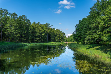 Lake in a natural park with trees growing on the banks