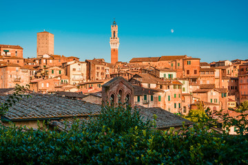 Obraz premium Secenery of Siena, a beautiful medieval in Tuscany, Italy with view of the Dome and Bell Tower of Siena Cathedral 