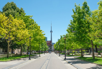 Fototapeta na wymiar Toronto, Ontario, Canada