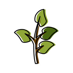Bouquet of leaves icon vector illustration graphic design