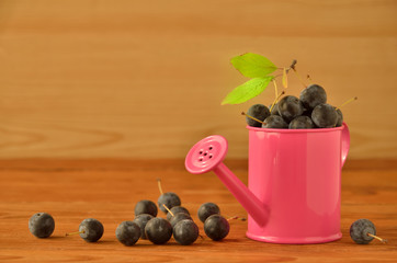 Pink watering can with sloe berries on the wooden surface