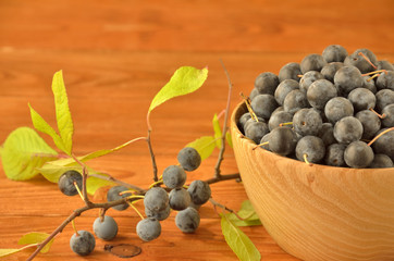 Bowl with sloe berries and blackthorn branch on a wooden table