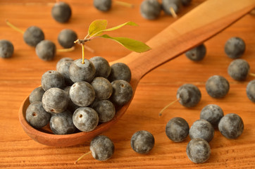 Spoon with sloe berries on a wooden surface
