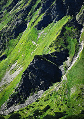 green grassy slopes of mountain peaks