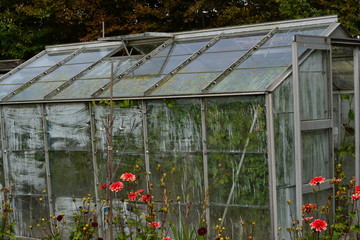 Abandoned green house