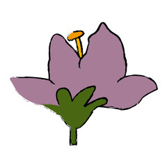 Beautiful decorative flowers icon vector illustration graphic design