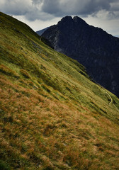 grassy before the top of the rocky hill