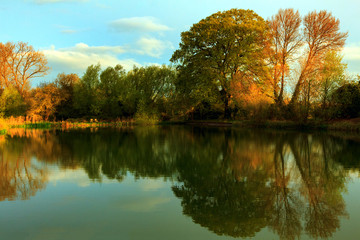 trees at dawn reflected in a lake