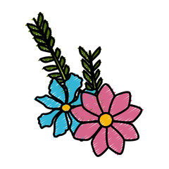 Beautiful decorative flowers icon vector illustration graphic design