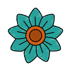 Beautiful decorative flowers icon vector illustration graphic design