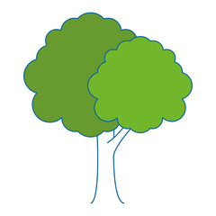 tree plant isolated icon vector illustration design