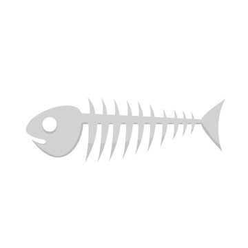 Fish bone vector illustration of skeleton