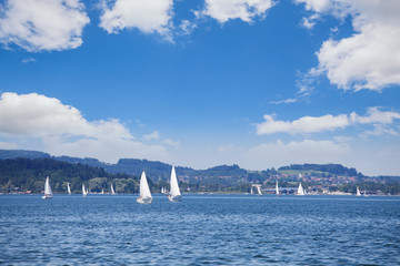Yacht regatta on the lake at sunny day