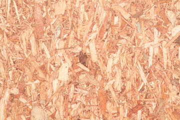 Obraz premium Plywood texture for background
