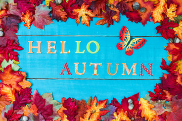Hello Autumn sign with butterfly and fall leaves border