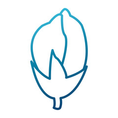 Beautiful decorative flowers icon vector illustration graphic design