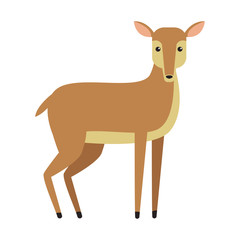 Deer animal cartoon icon vector illustration graphic design