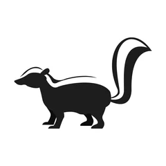 Foto op Canvas Skunk animal cartoon icon vector illustration graphic design © Jemastock