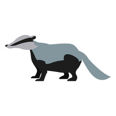 Skunk animal cartoon icon vector illustration graphic design
