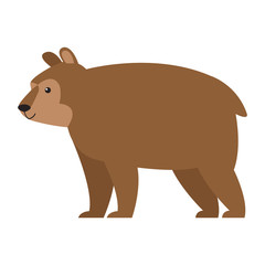 Obraz na płótnie Canvas bear cartoon animal icon vector illustration graphic design