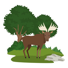 Deer animal cartoon icon vector illustration graphic design