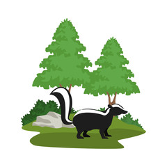 Skunk animal cartoon icon vector illustration graphic design