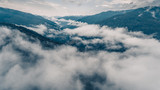 Morning fog above forest in mountains. Aerial view