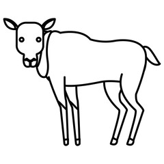 Deer animal cartoon icon vector illustration graphic design