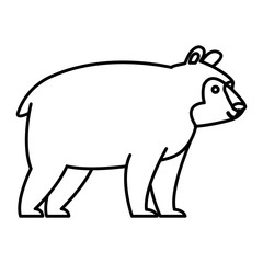 bear cartoon animal icon vector illustration graphic design