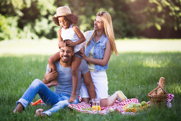 Family having fun picnicing in nature