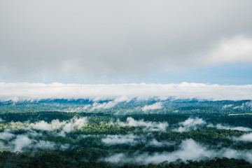 Landscape view top mountain forest. Asia Tropical. National park thailand