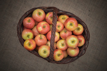Healthy Organic Apples in the Basket