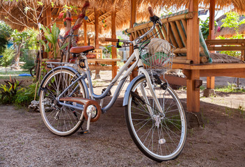 Fototapeta na wymiar Walking bicycle with basket in the backyard