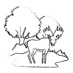 Reindeer animal cartoon icon vector illustration graphic design