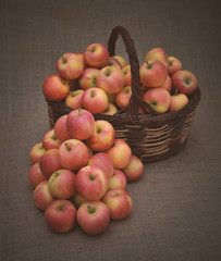 Healthy Organic Apples in the Basket