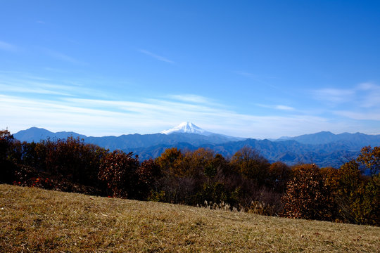 Mt. Fuji from Mt. Jinbayama