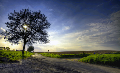 Dutch Sky